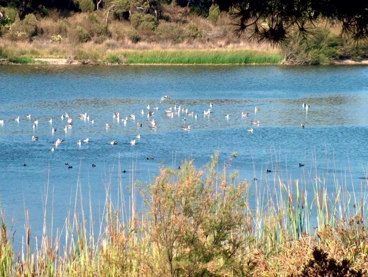 Paqo Lodge Laguna Del Portil, A 400 Metros De La Playa المظهر الخارجي الصورة